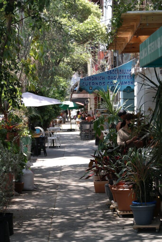 The Secret to Authentic Mexican Style in Los Cabos? It’s Deco Listo!