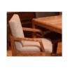 Kiik Dining Chair w/Arms