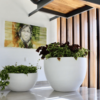 Bombo Planter - Image 2