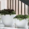Bombo Planter