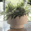 Koopa Planter - Image 2
