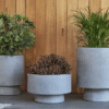 Koopa Planter
