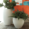 Pot Planter - Image 2